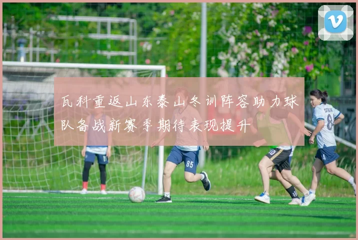 瓦科重返山东泰山冬训阵容助力球队备战新赛季期待表现提升