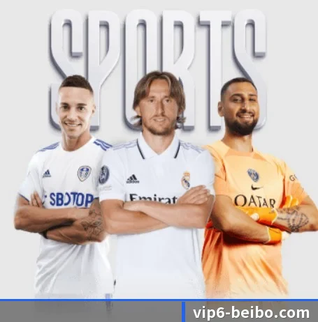 贝博体育 APP | BBSPORTS